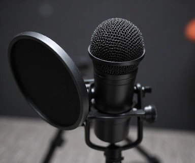 Professional Studio Microphone